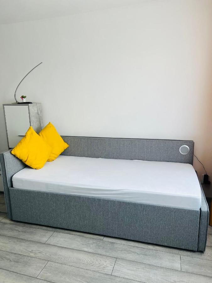 Miha Modern And Central Apartament Arad Exterior photo